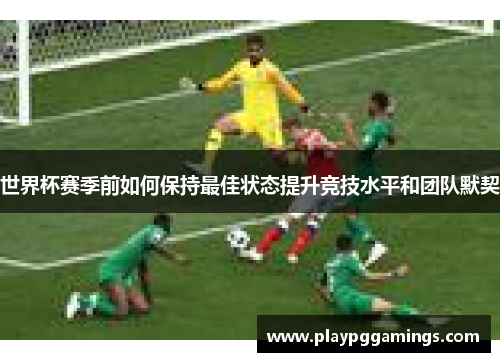 世界杯赛季前如何保持最佳状态提升竞技水平和团队默契