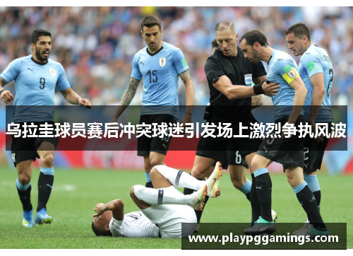 乌拉圭球员赛后冲突球迷引发场上激烈争执风波
